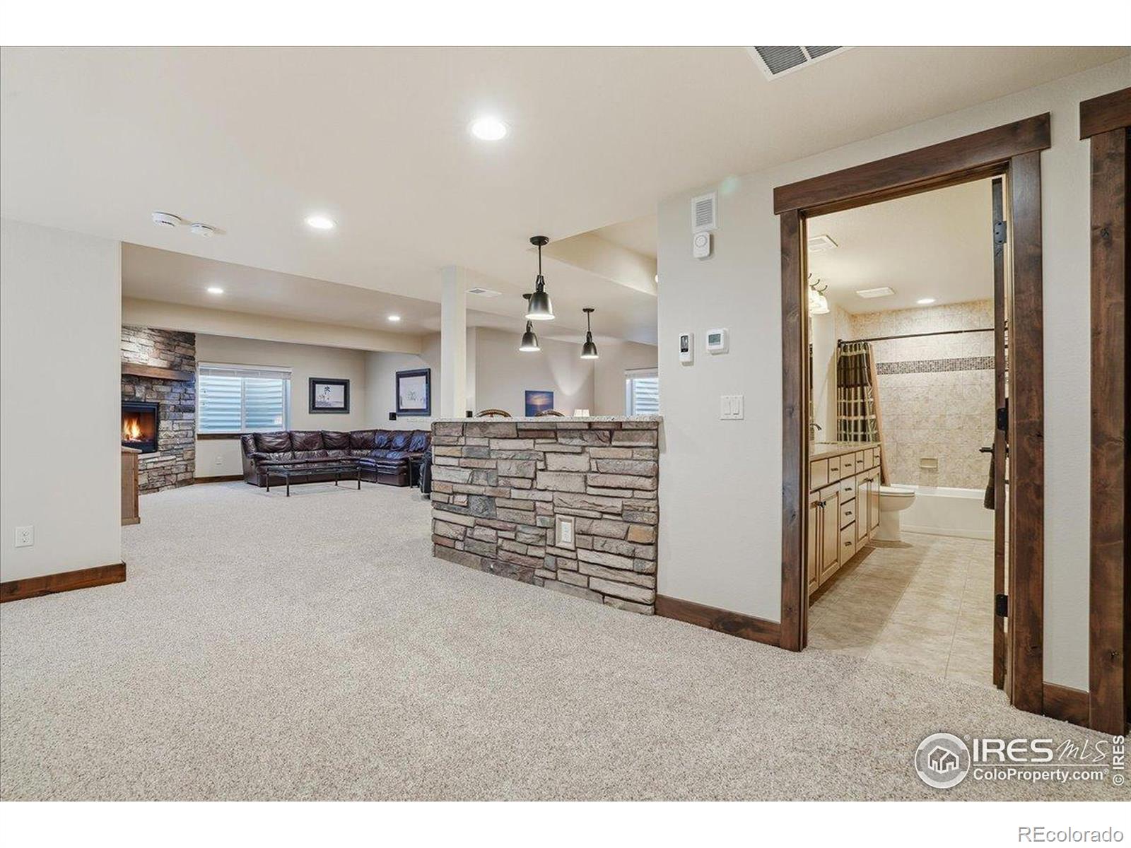 MLS Image #28 for 973  skipping stone court,timnath, Colorado