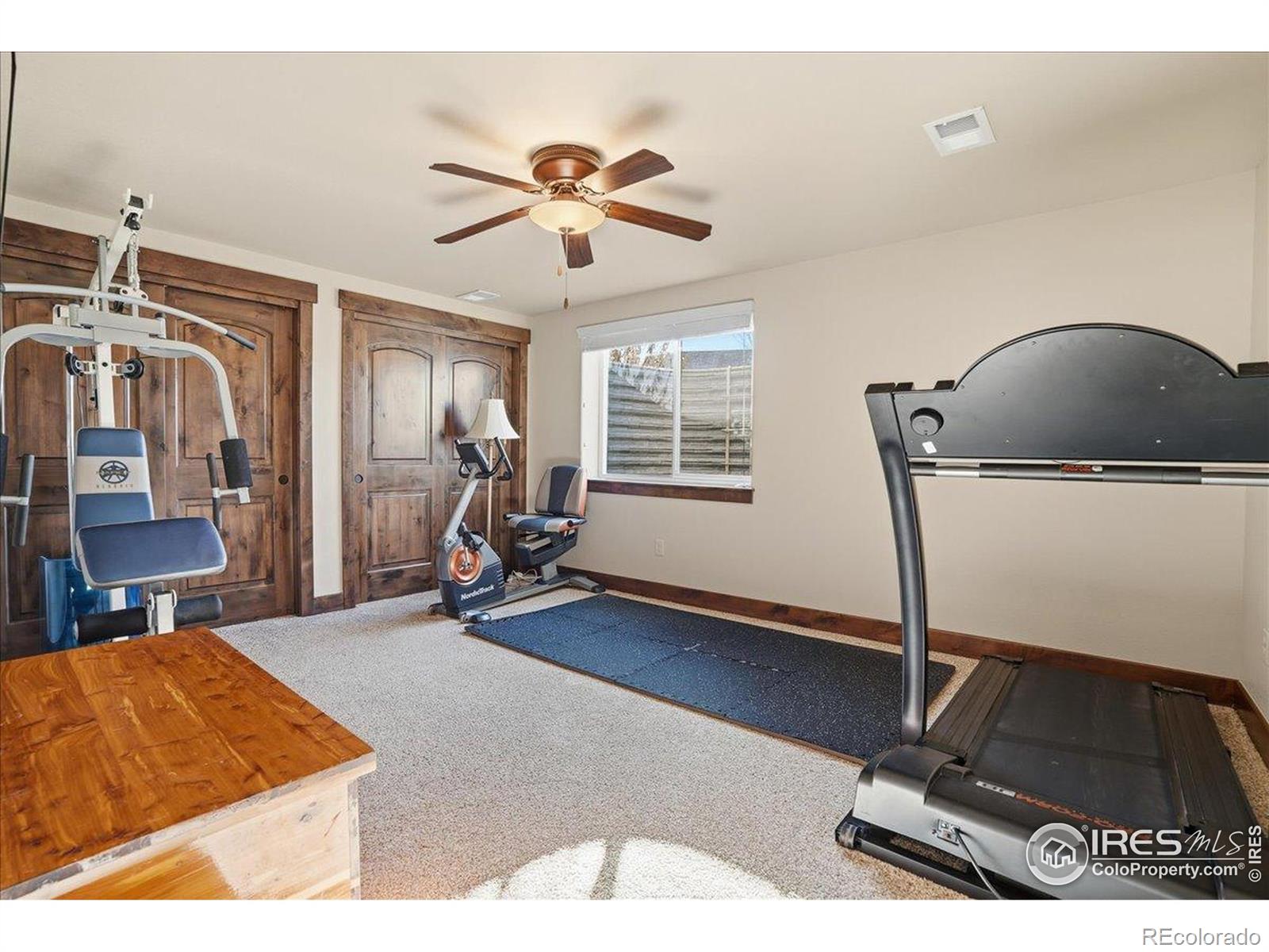 MLS Image #34 for 973  skipping stone court,timnath, Colorado