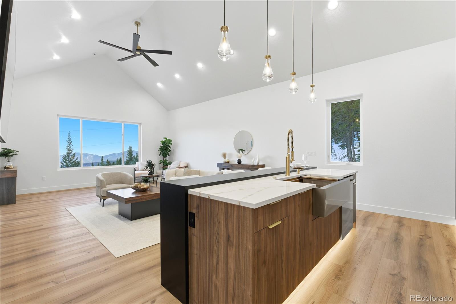 MLS Image #1 for 185  hillside road,idaho springs, Colorado