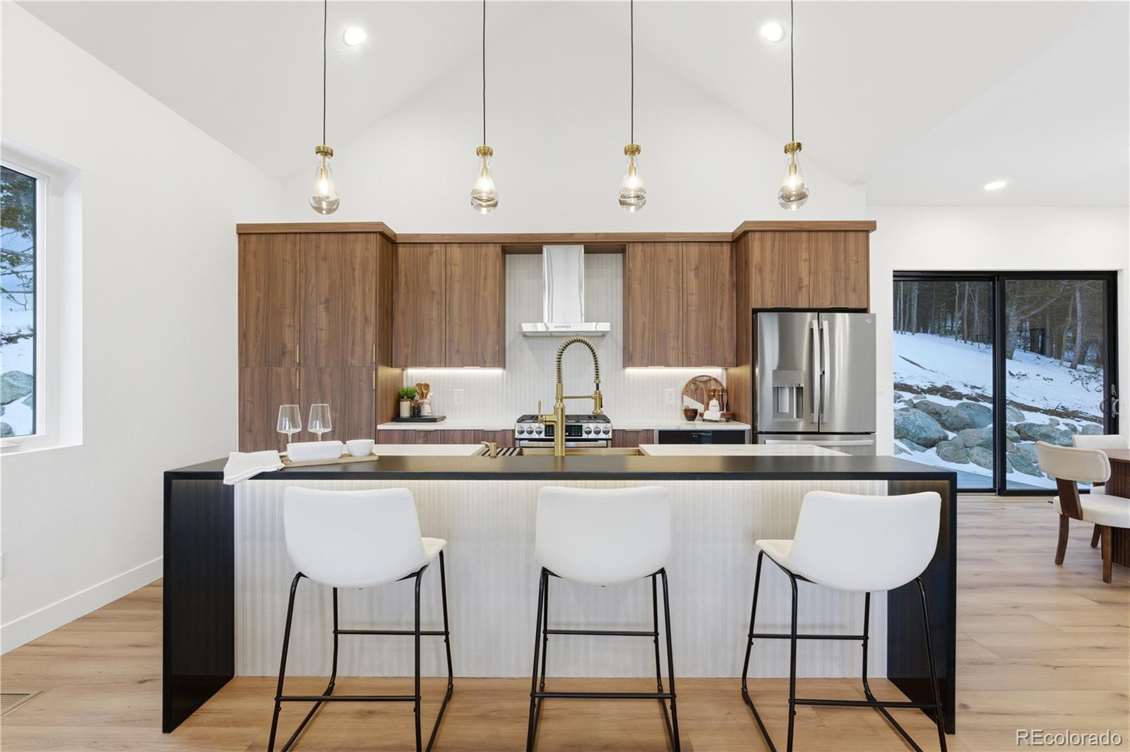 MLS Image #2 for 185  hillside road,idaho springs, Colorado