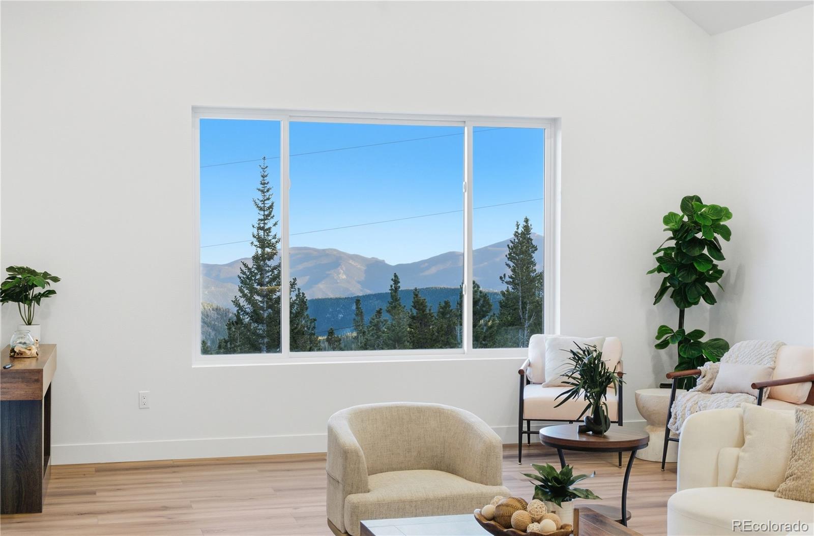 MLS Image #3 for 185  hillside road,idaho springs, Colorado