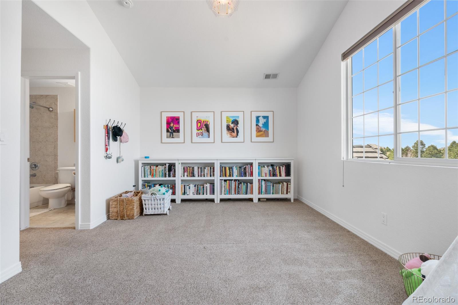 MLS Image #28 for 6635  tremolite drive,castle rock, Colorado