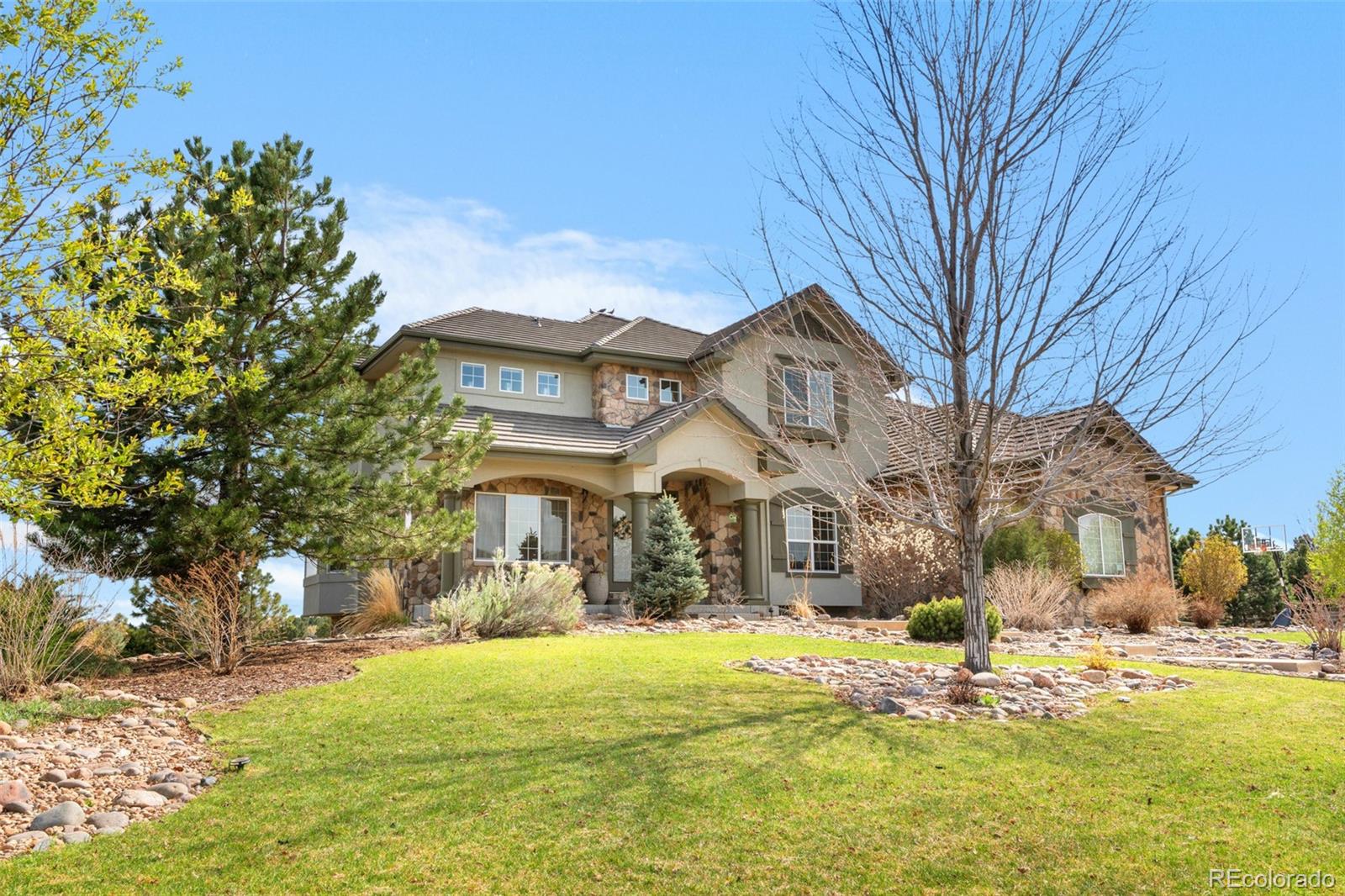 MLS Image #3 for 6635  tremolite drive,castle rock, Colorado