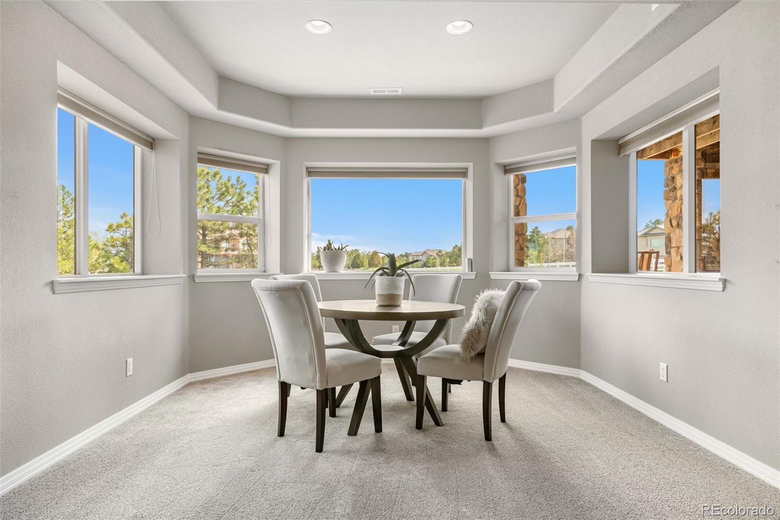 MLS Image #37 for 6635  tremolite drive,castle rock, Colorado