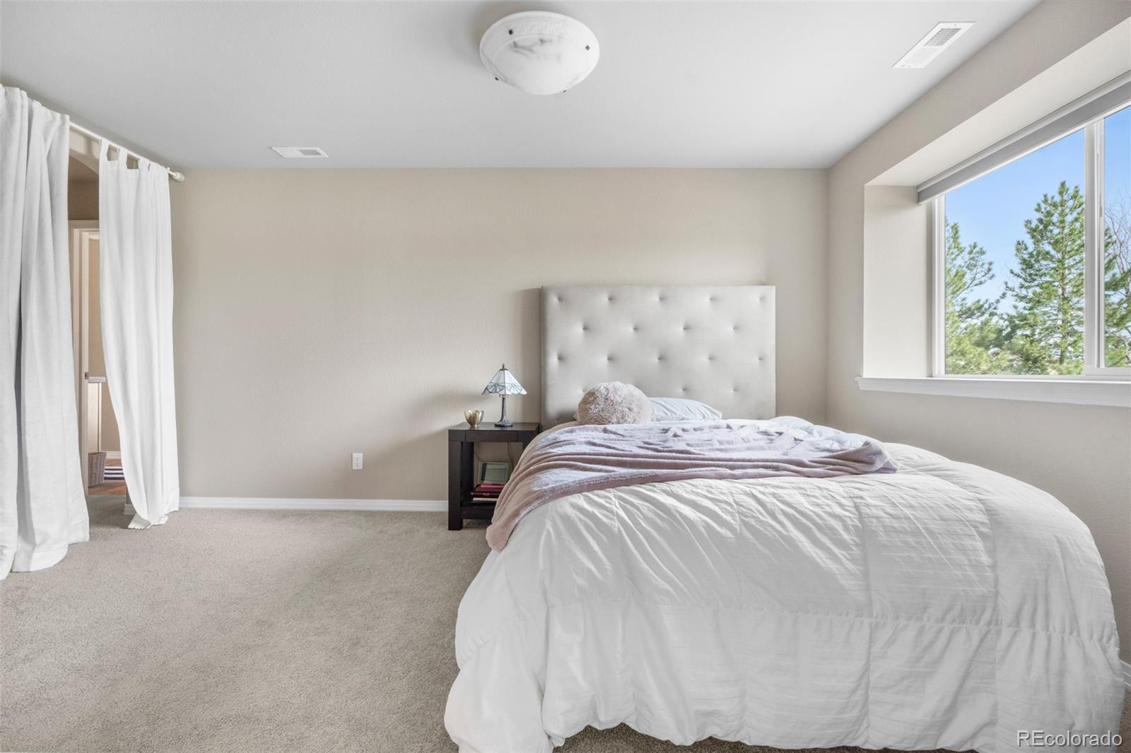 MLS Image #38 for 6635  tremolite drive,castle rock, Colorado
