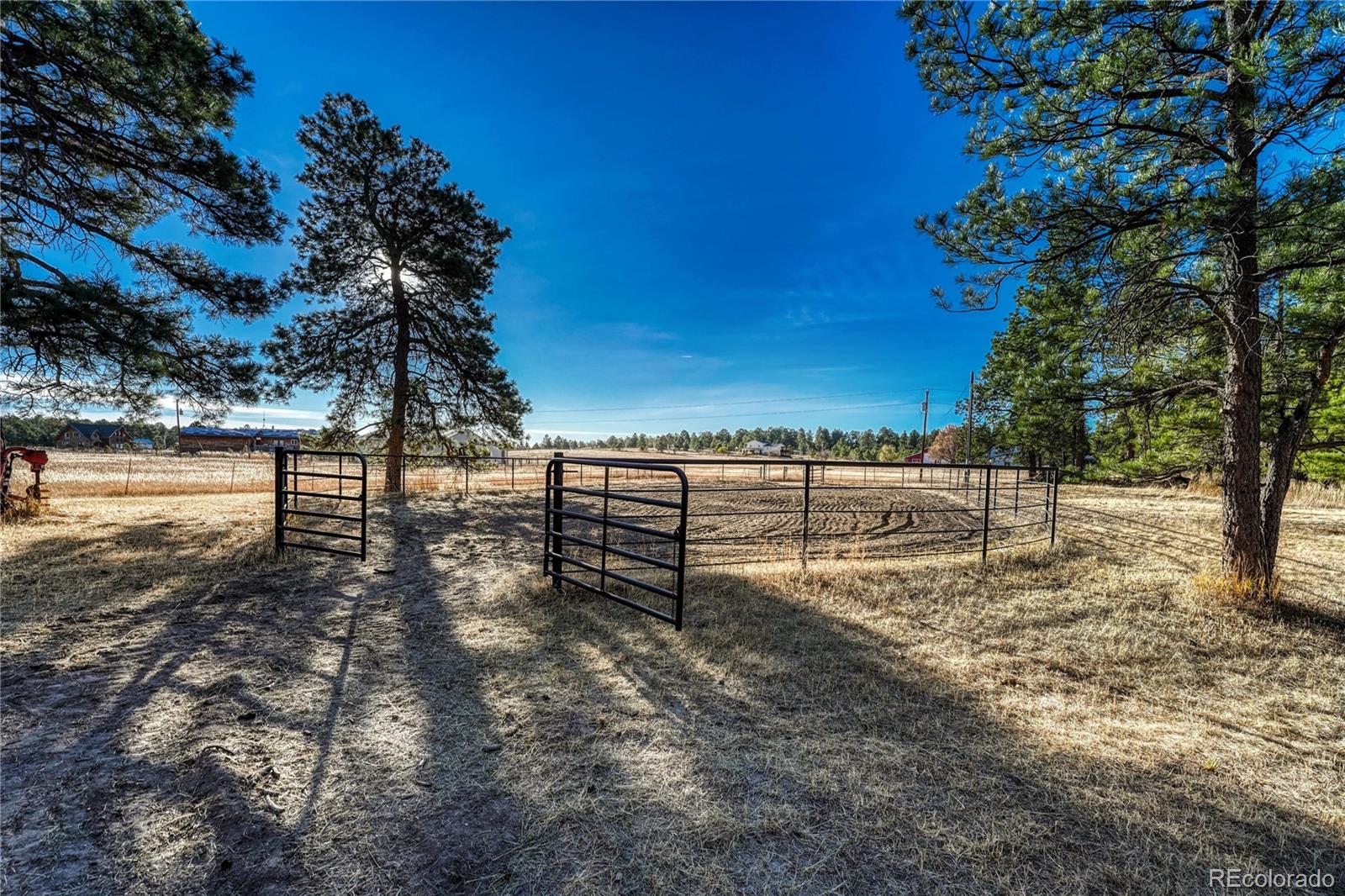 MLS Image #5 for 37766  timber drive,elizabeth, Colorado