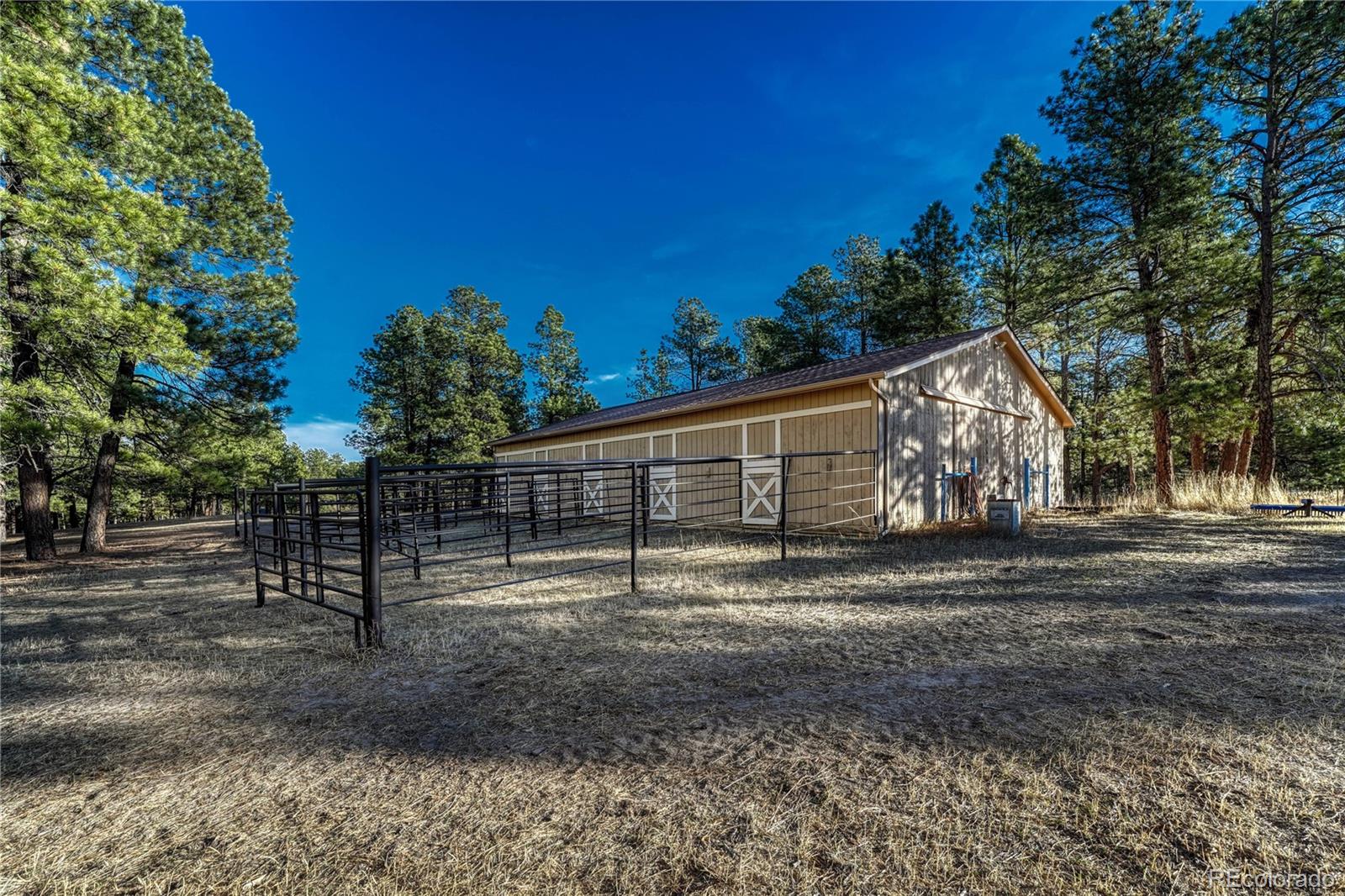 MLS Image #9 for 37766  timber drive,elizabeth, Colorado