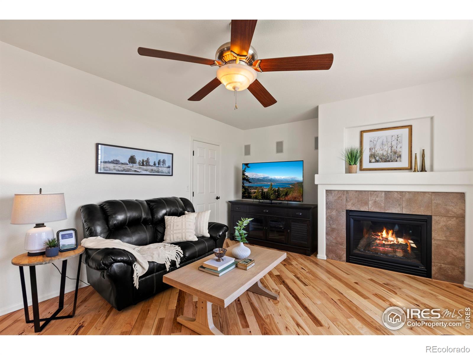 MLS Image #10 for 6117  gold dust road,timnath, Colorado