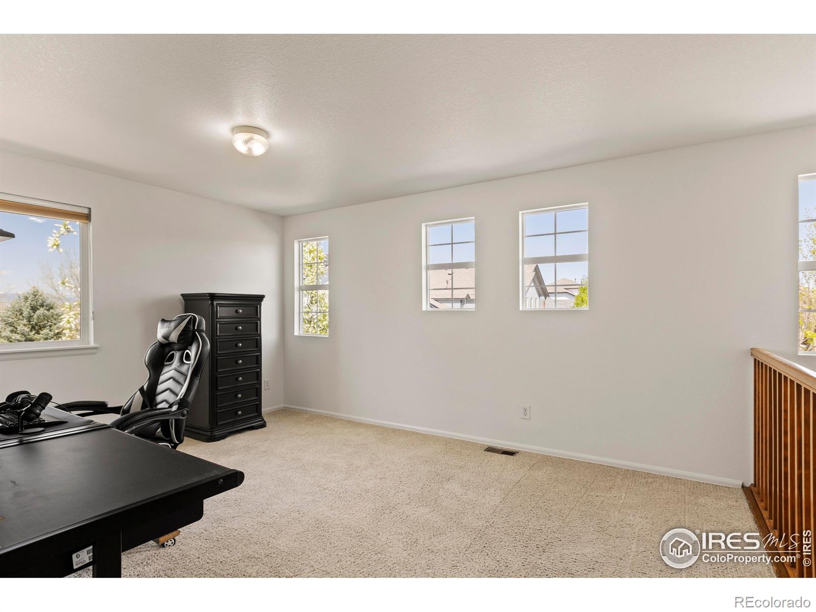 MLS Image #25 for 6117  gold dust road,timnath, Colorado