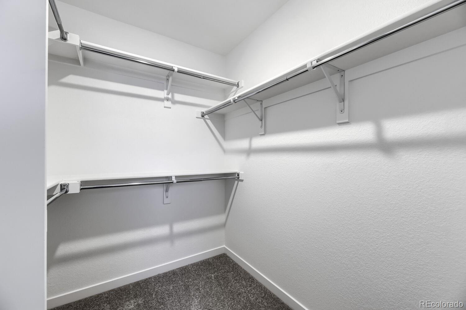 MLS Image #12 for 7390  whiteclover lane,littleton, Colorado