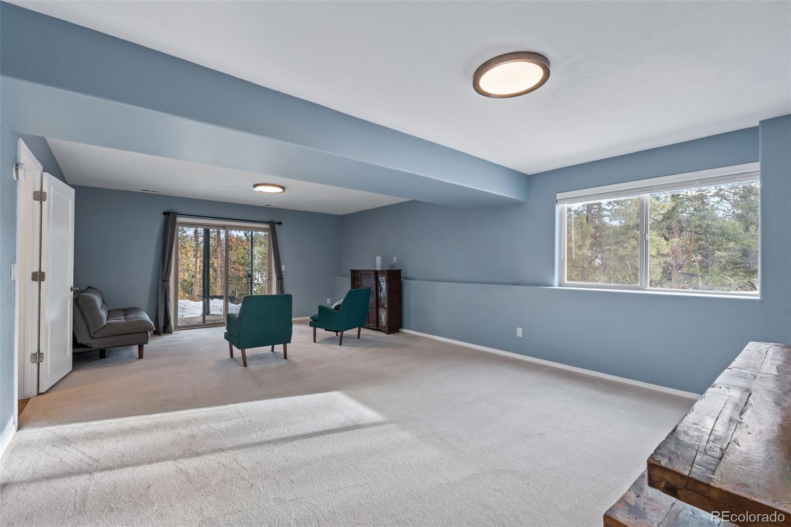 MLS Image #25 for 4041  trout creek road,woodland park, Colorado