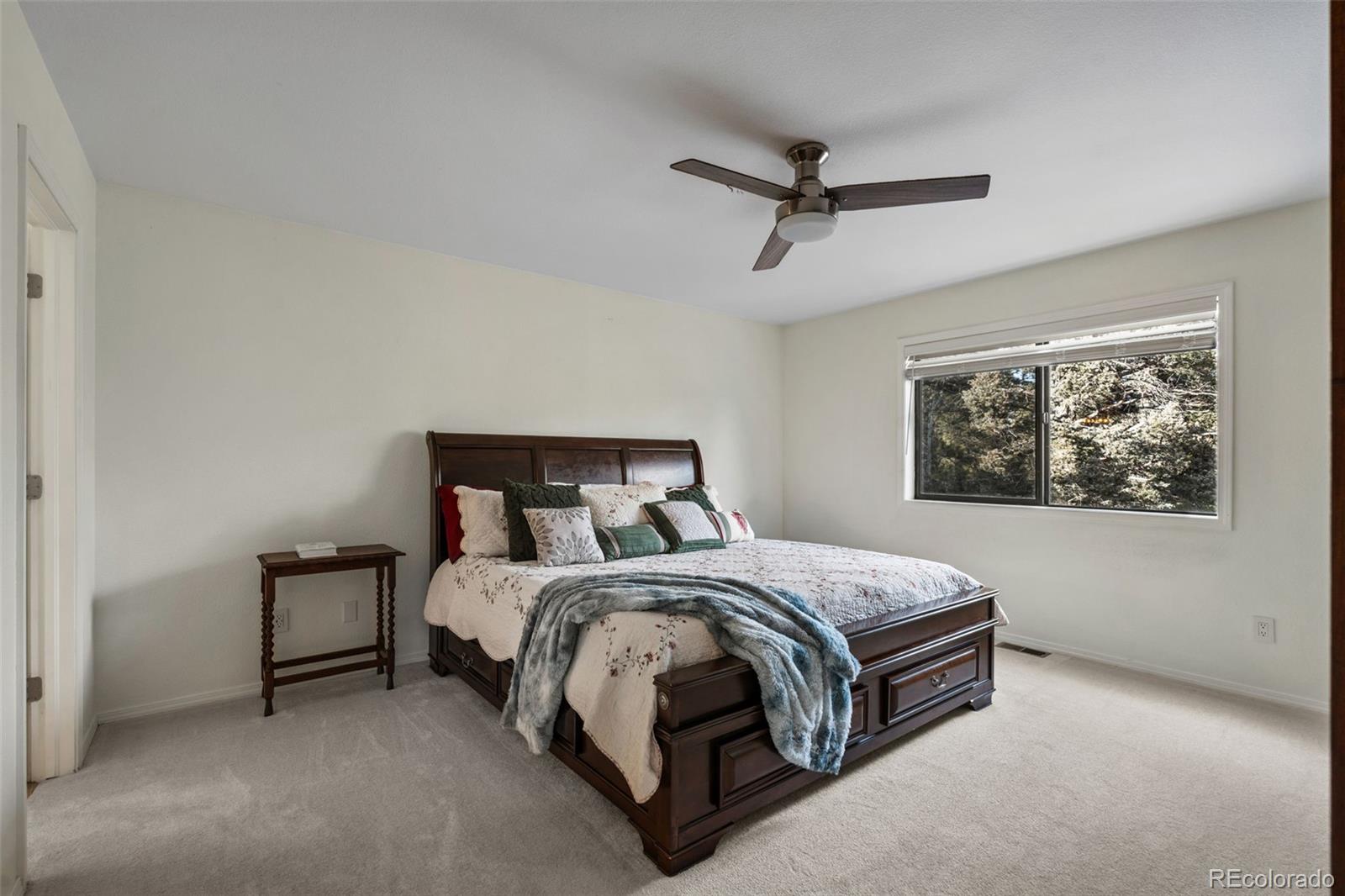 MLS Image #3 for 4041  trout creek road,woodland park, Colorado