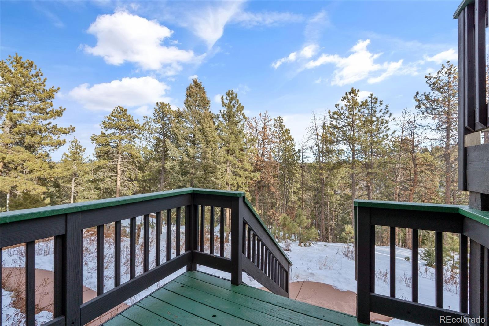 MLS Image #32 for 4041  trout creek road,woodland park, Colorado