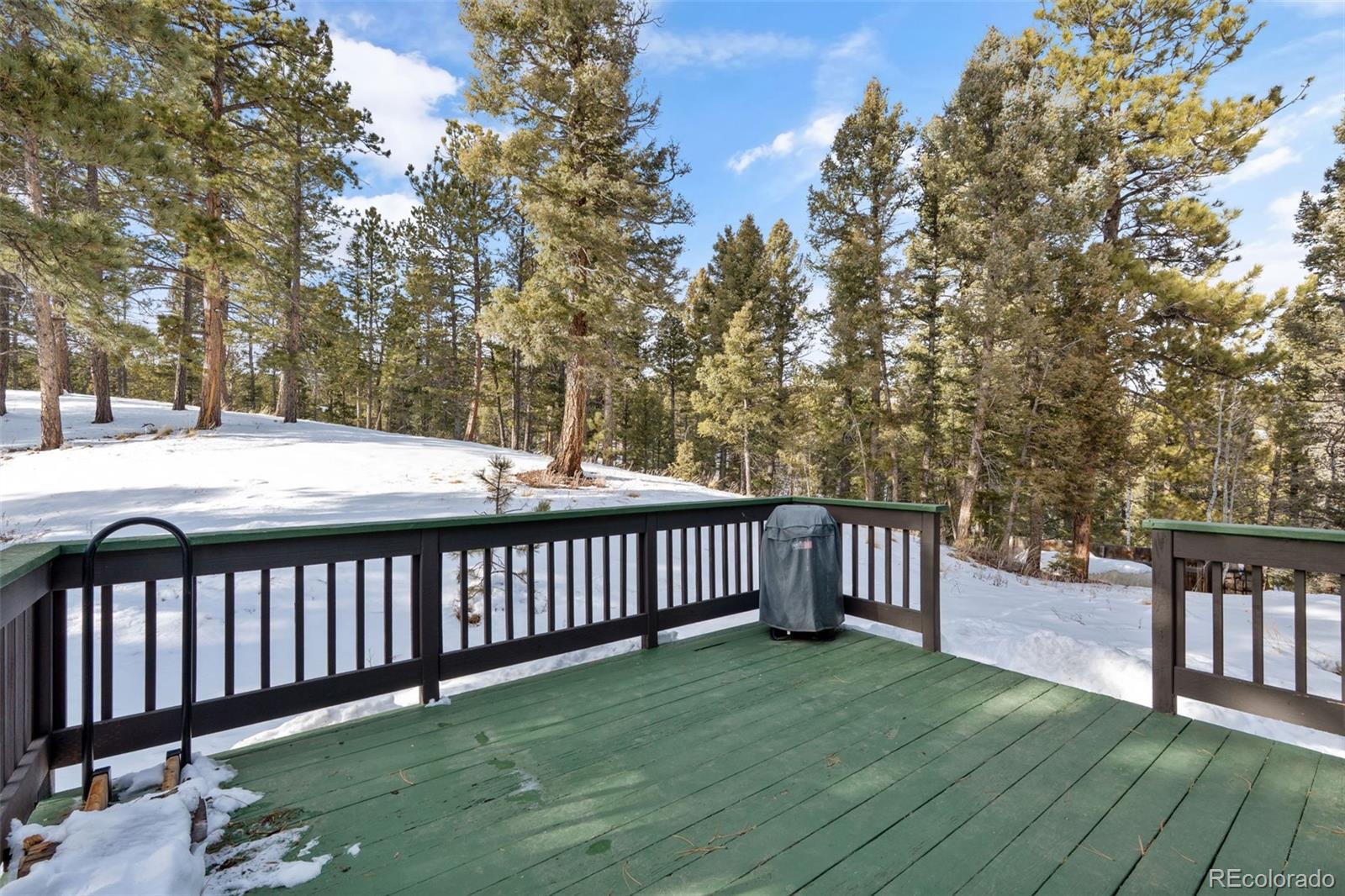 MLS Image #33 for 4041  trout creek road,woodland park, Colorado