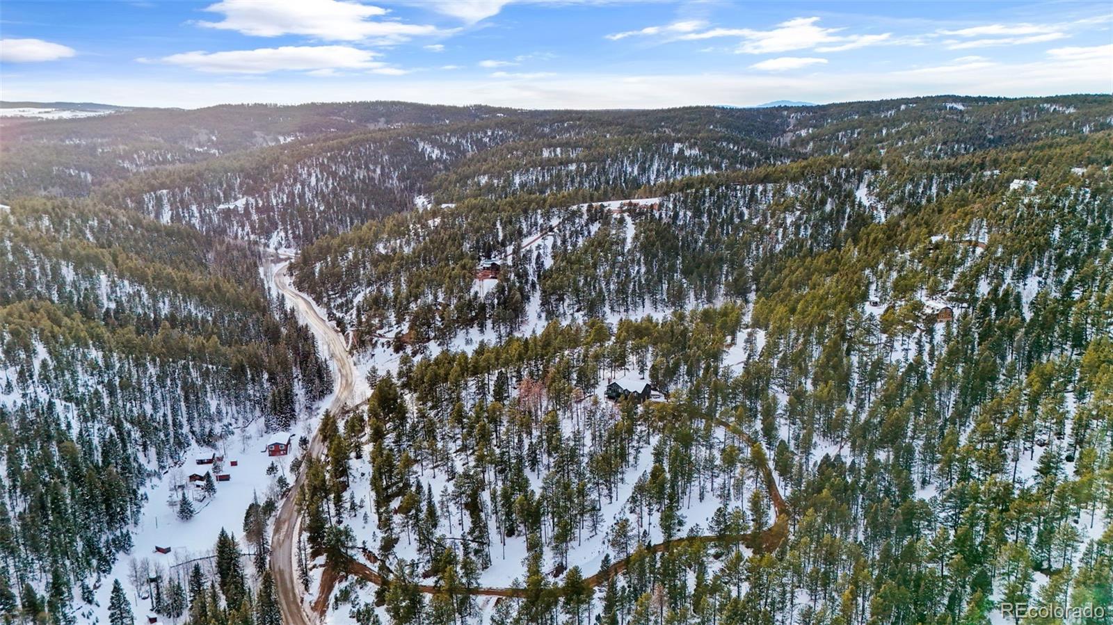 MLS Image #45 for 4041  trout creek road,woodland park, Colorado