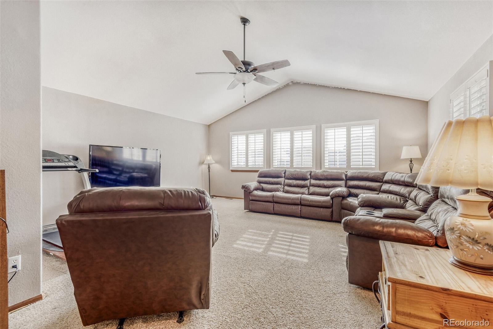 MLS Image #18 for 10091  astoria court,lone tree, Colorado