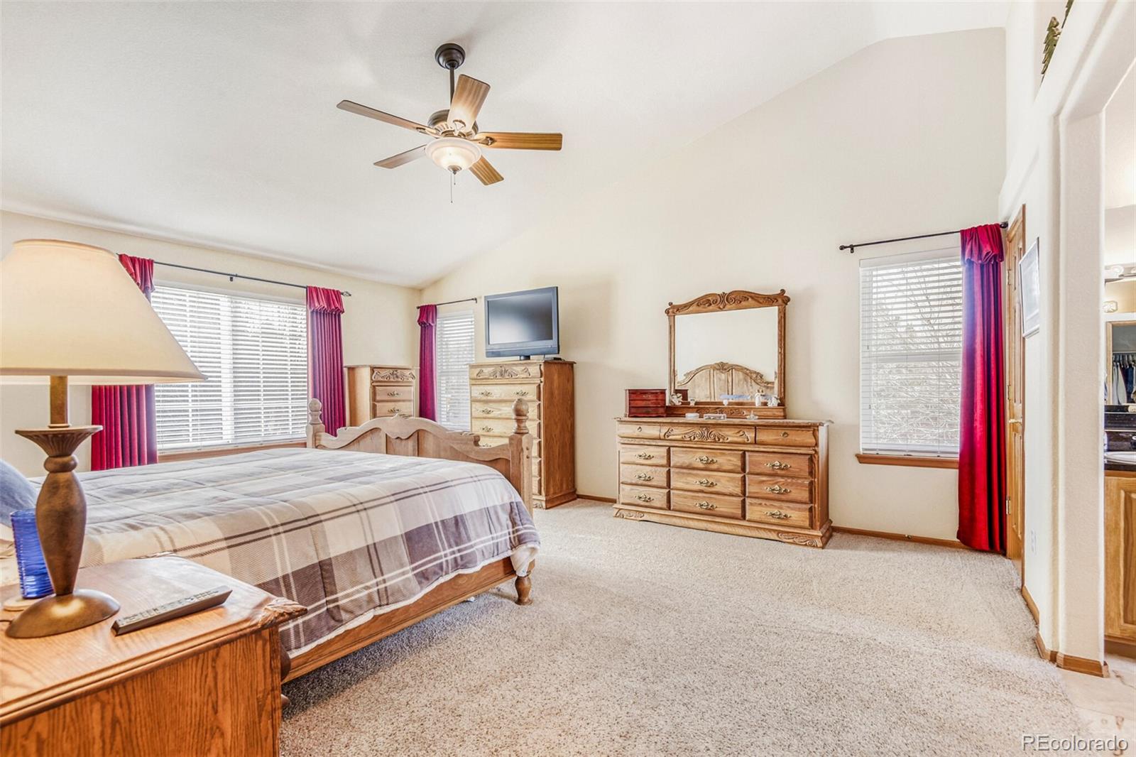 MLS Image #19 for 10091  astoria court,lone tree, Colorado