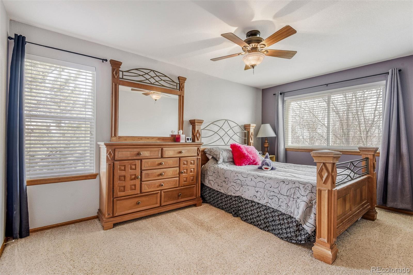 MLS Image #25 for 10091  astoria court,lone tree, Colorado