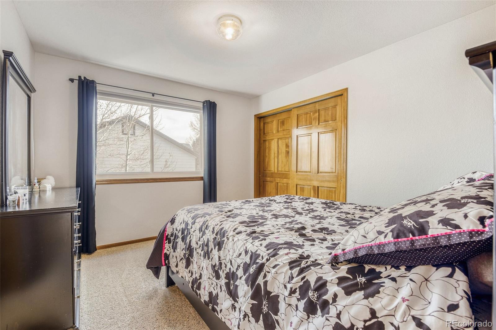 MLS Image #26 for 10091  astoria court,lone tree, Colorado