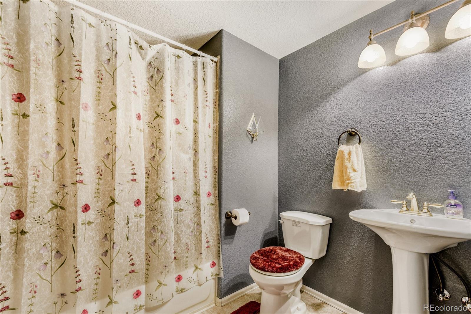 MLS Image #27 for 10091  astoria court,lone tree, Colorado
