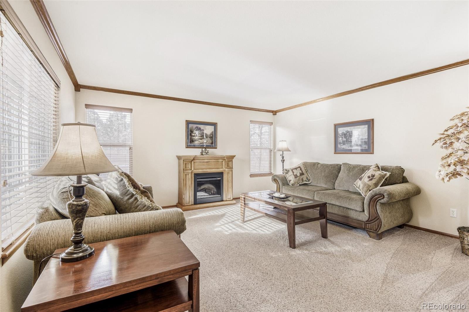 MLS Image #3 for 10091  astoria court,lone tree, Colorado