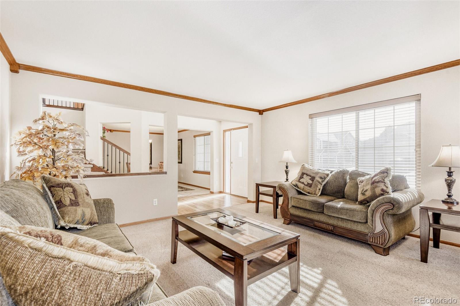 MLS Image #4 for 10091  astoria court,lone tree, Colorado