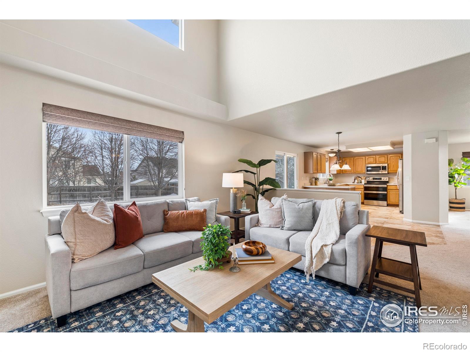 MLS Image #16 for 13966  forest street,thornton, Colorado