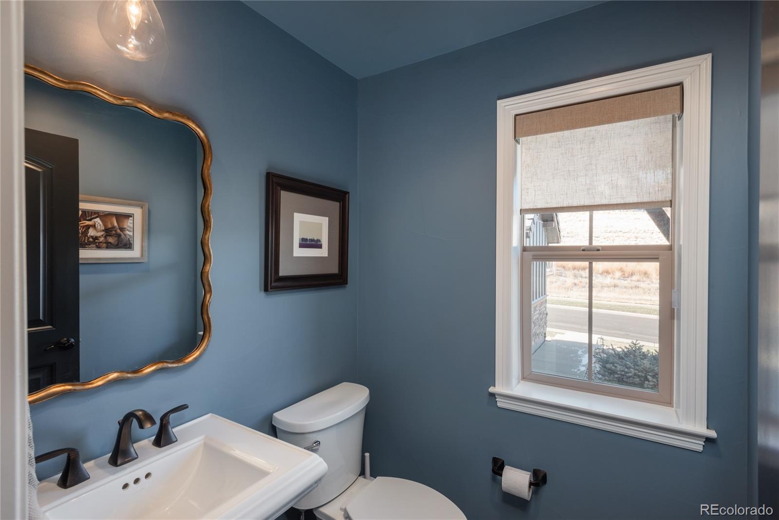 MLS Image #16 for 10616  greycliffe drive,highlands ranch, Colorado