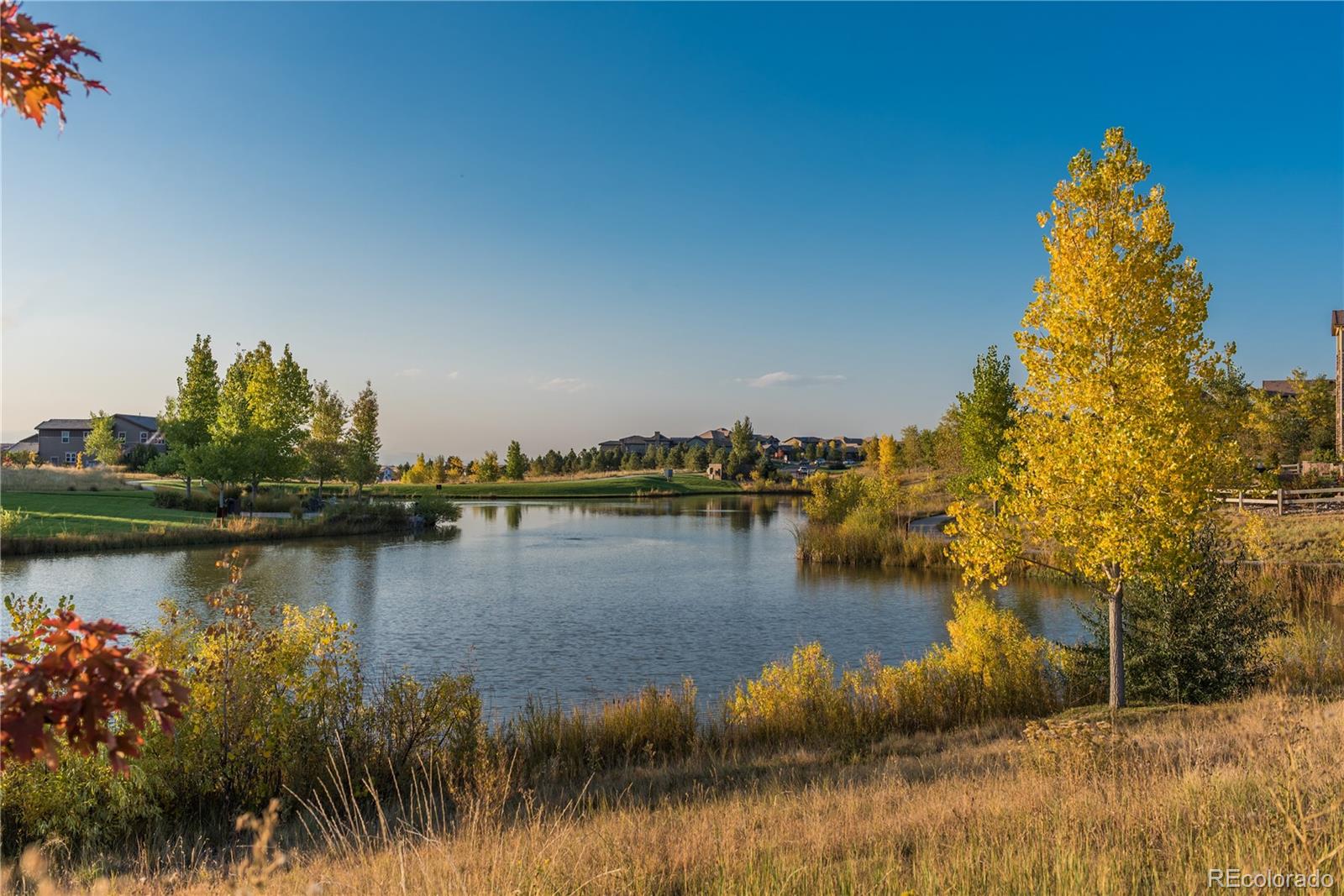 MLS Image #43 for 10616  greycliffe drive,highlands ranch, Colorado