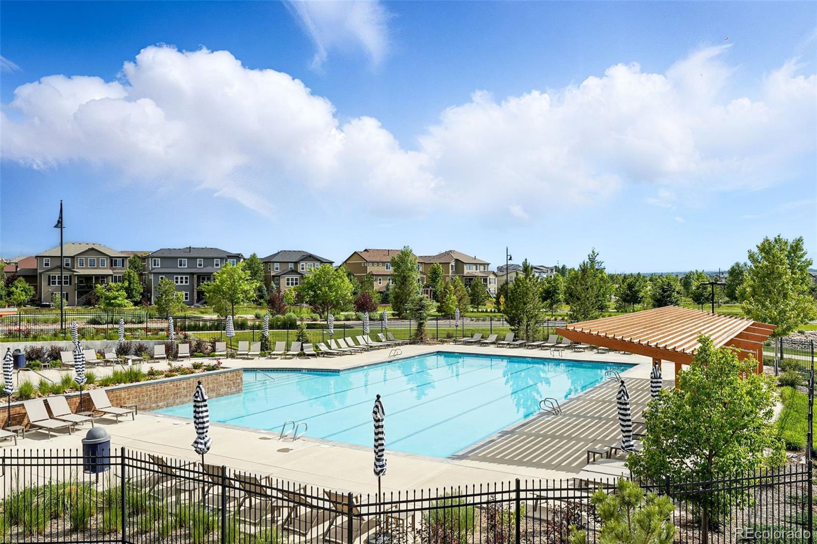 MLS Image #41 for 745  audubon peak drive,erie, Colorado