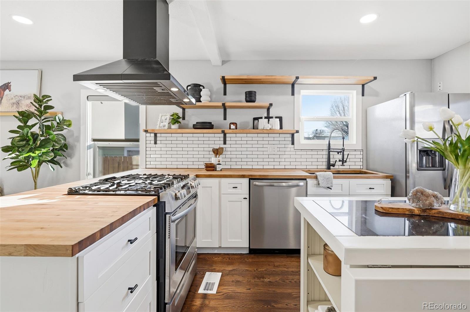 MLS Image #15 for 4845  zuni street,denver, Colorado