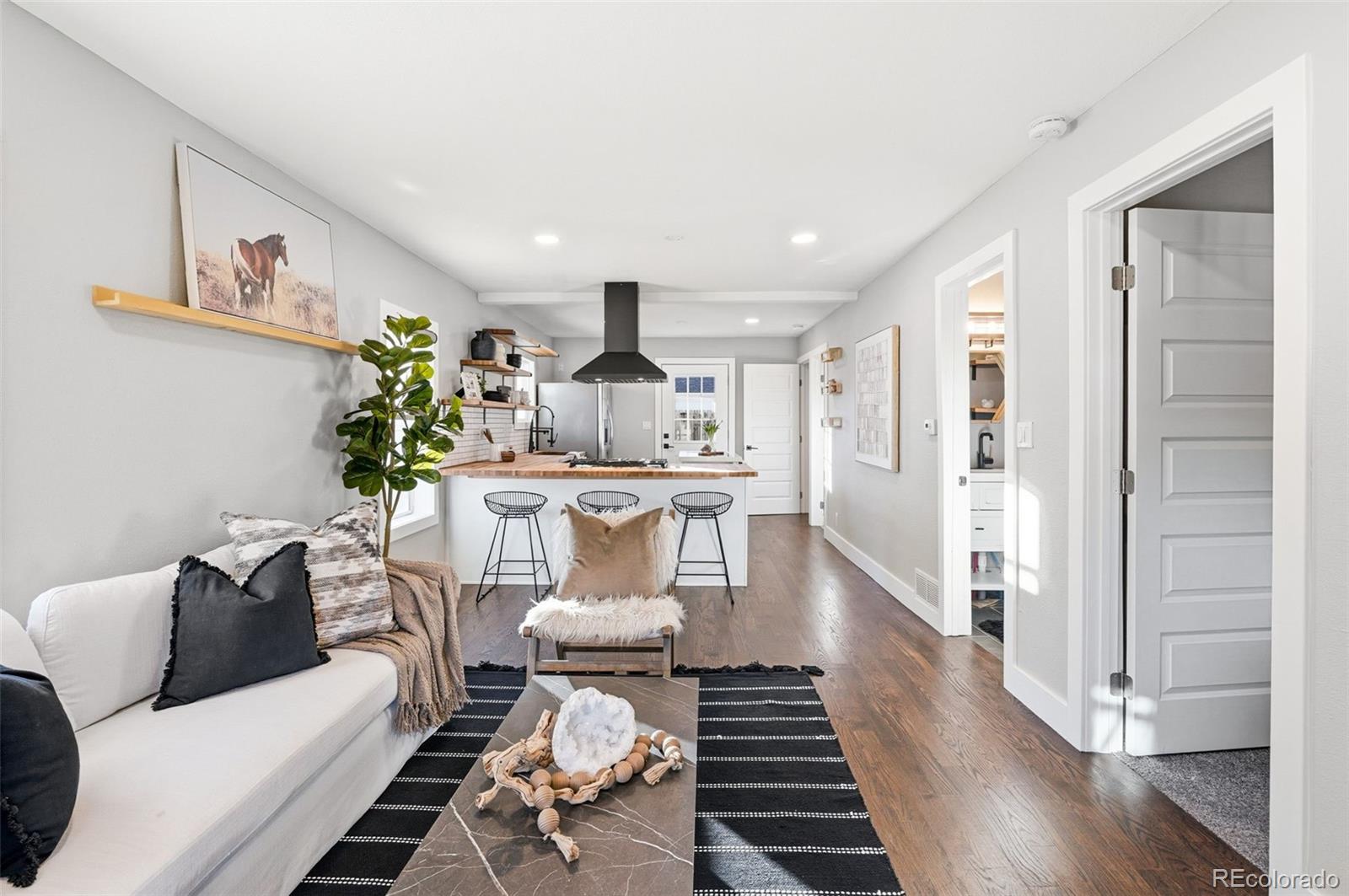MLS Image #9 for 4845  zuni street,denver, Colorado