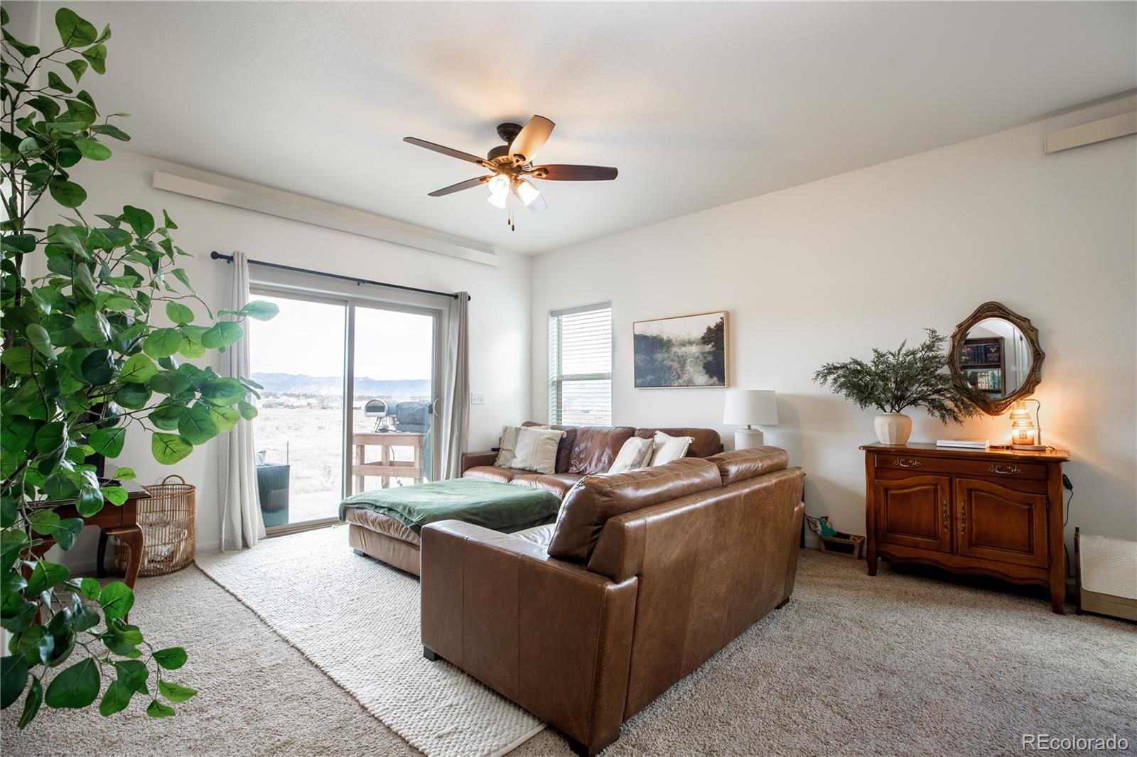 MLS Image #4 for 10491  table rock court,poncha springs, Colorado