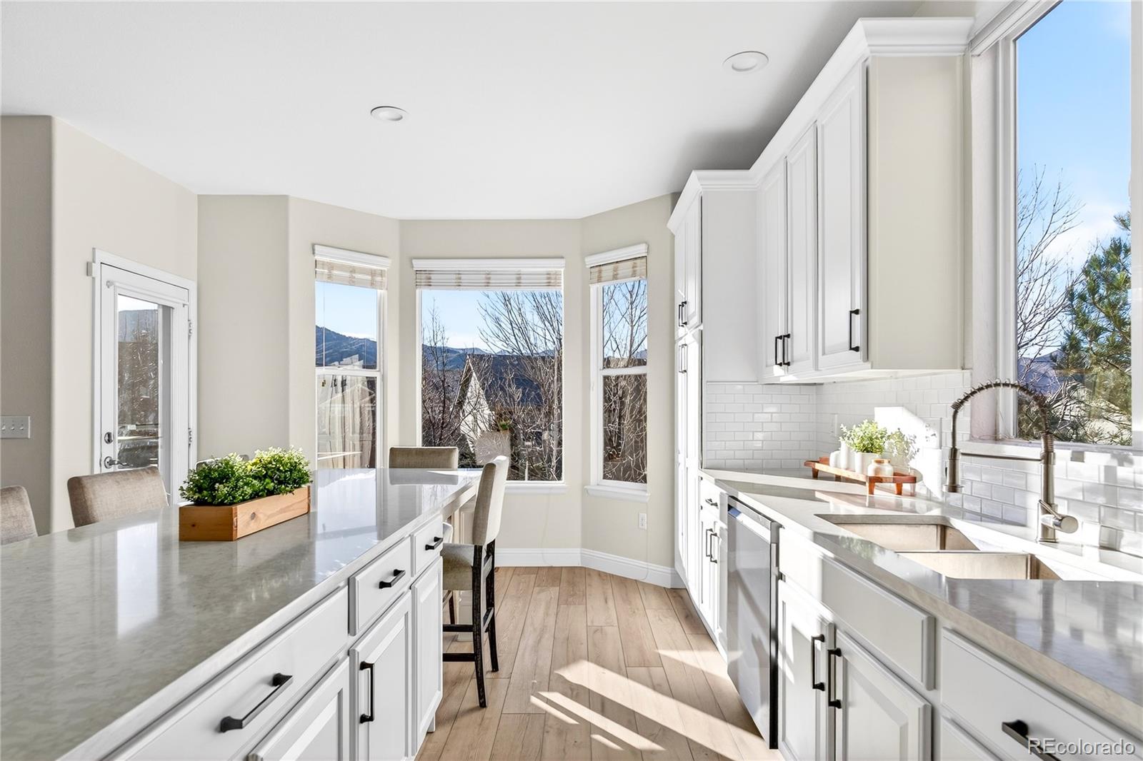 MLS Image #10 for 8371  snaffle bit court,littleton, Colorado