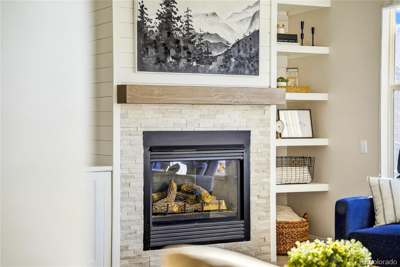MLS Image #17 for 8371  snaffle bit court,littleton, Colorado