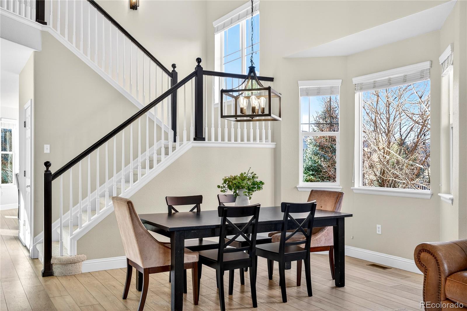 MLS Image #6 for 8371  snaffle bit court,littleton, Colorado