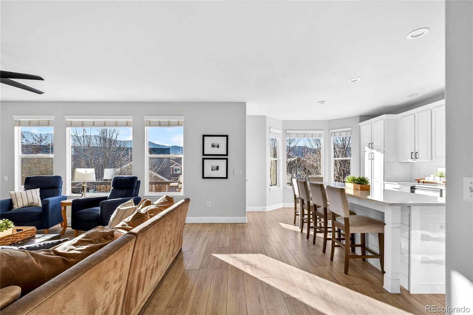 MLS Image #7 for 8371  snaffle bit court,littleton, Colorado