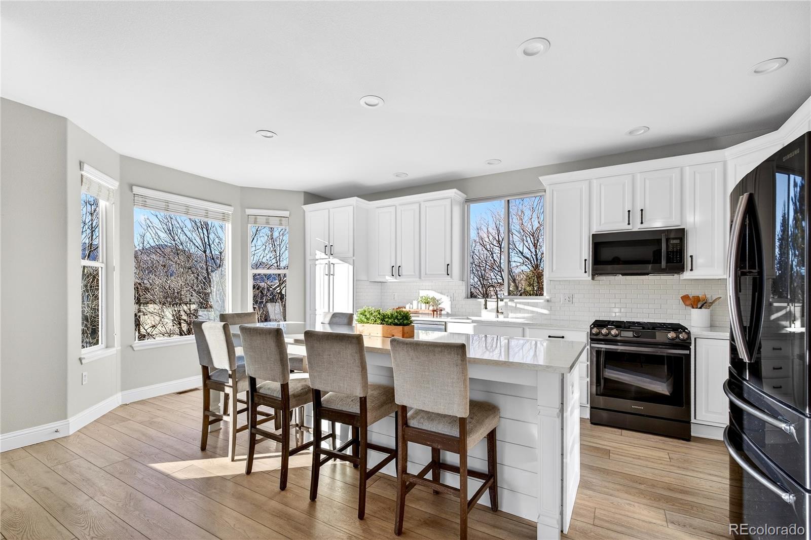 MLS Image #8 for 8371  snaffle bit court,littleton, Colorado