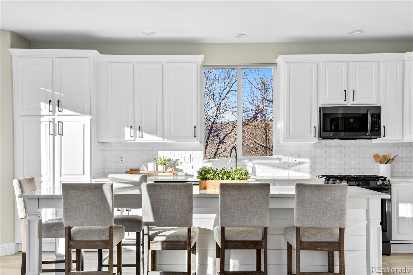 MLS Image #9 for 8371  snaffle bit court,littleton, Colorado