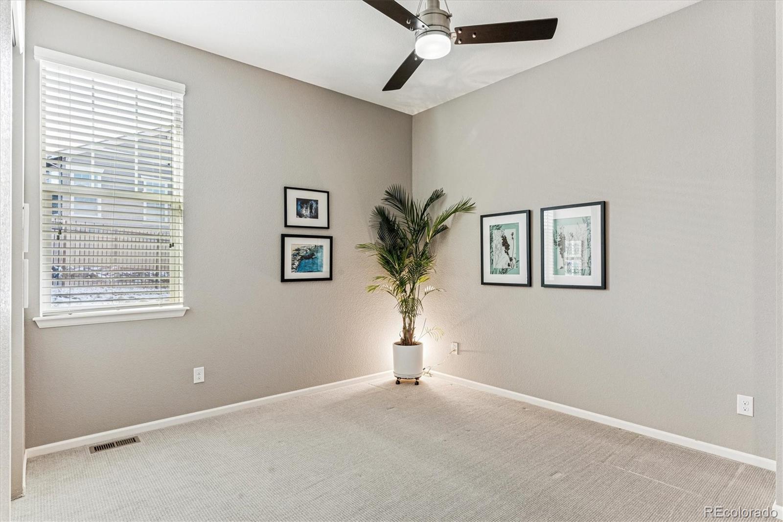 MLS Image #20 for 3322  goodyear street,castle rock, Colorado