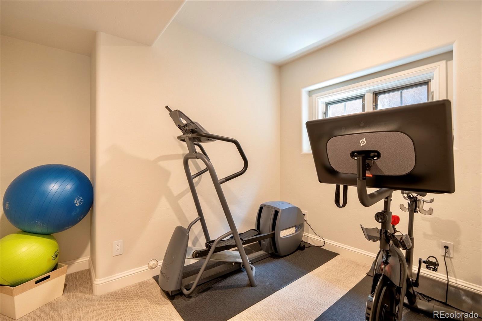 MLS Image #45 for 1575  vine cliff heights,colorado springs, Colorado
