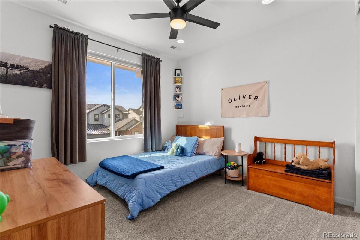 MLS Image #22 for 9139  star streak circle,littleton, Colorado