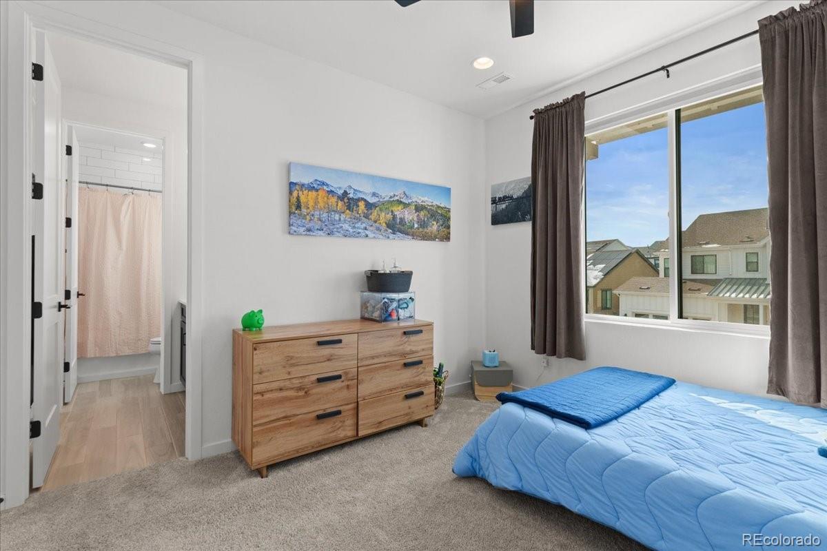 MLS Image #23 for 9139  star streak circle,littleton, Colorado