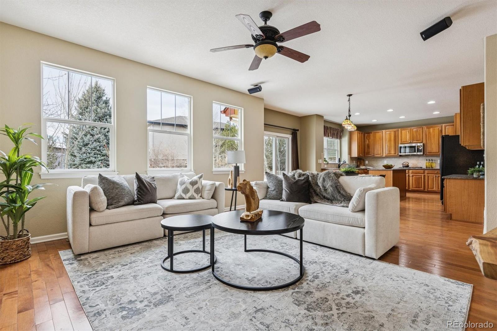 MLS Image #9 for 6813 s harvest court,aurora, Colorado