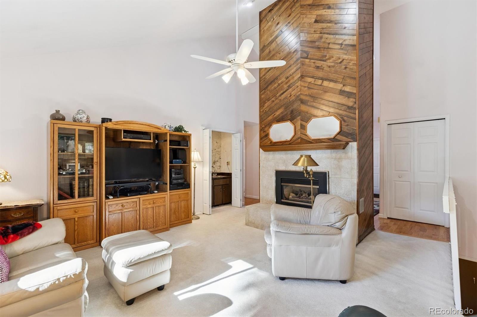 MLS Image #13 for 3864 e long place,centennial, Colorado