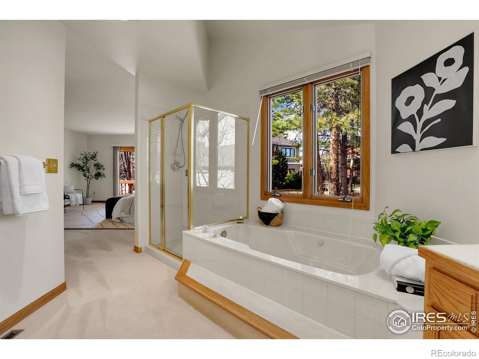 MLS Image #16 for 807  flatirons court,louisville, Colorado