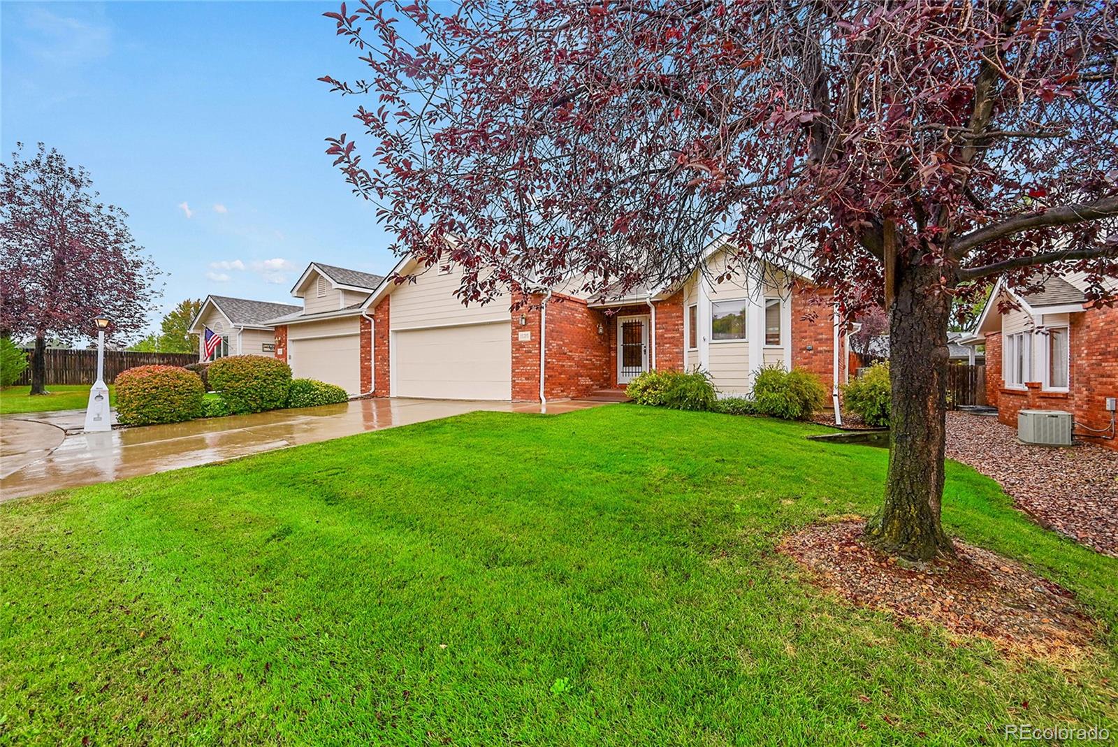 MLS Image #1 for 1626  tulip court,longmont, Colorado