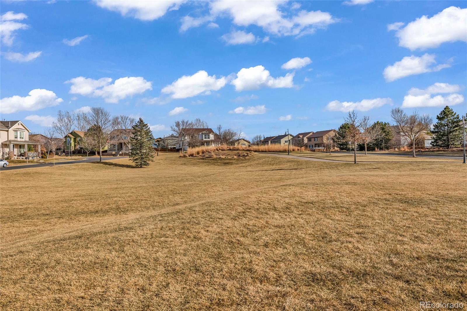 MLS Image #29 for 17093 e 104th way,commerce city, Colorado