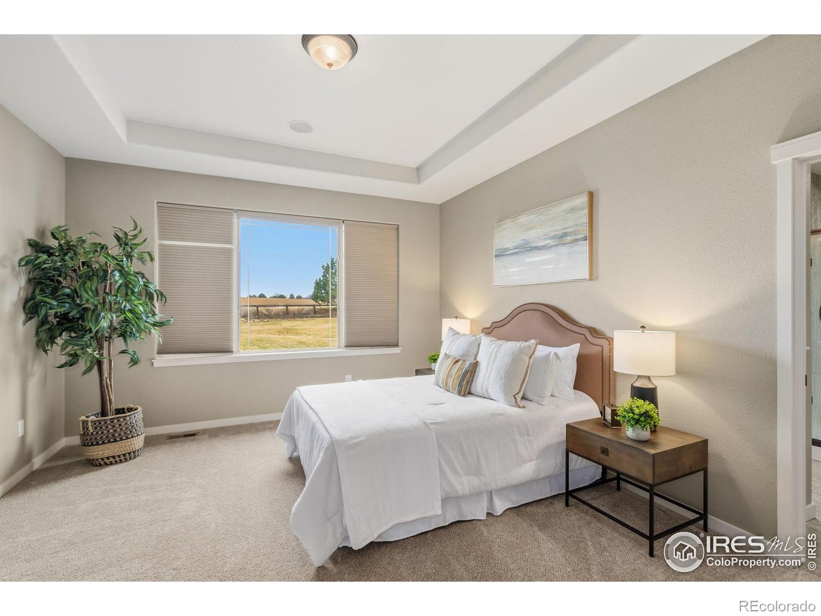 MLS Image #11 for 7720  amour hill drive,greeley, Colorado