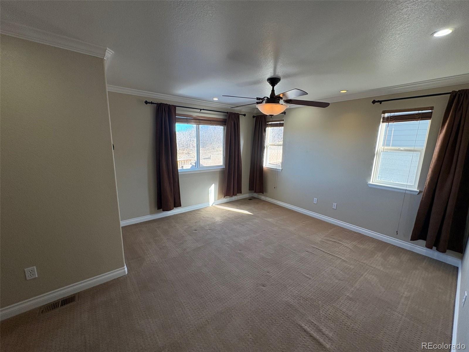 MLS Image #10 for 2667  live oak court ,castle rock, Colorado